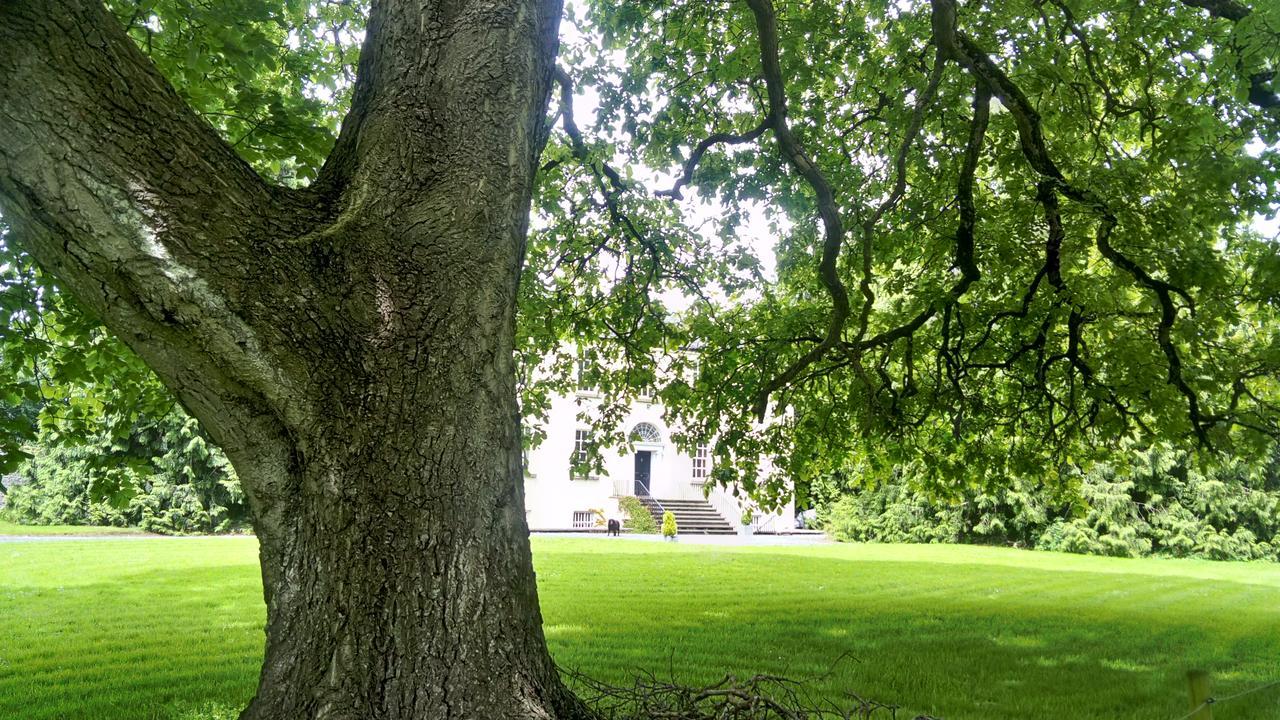 Augherea House Longford Exterior foto
